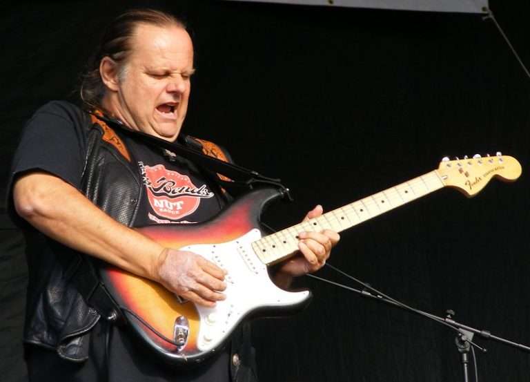 Discovering The Guitar Of Walter Trout