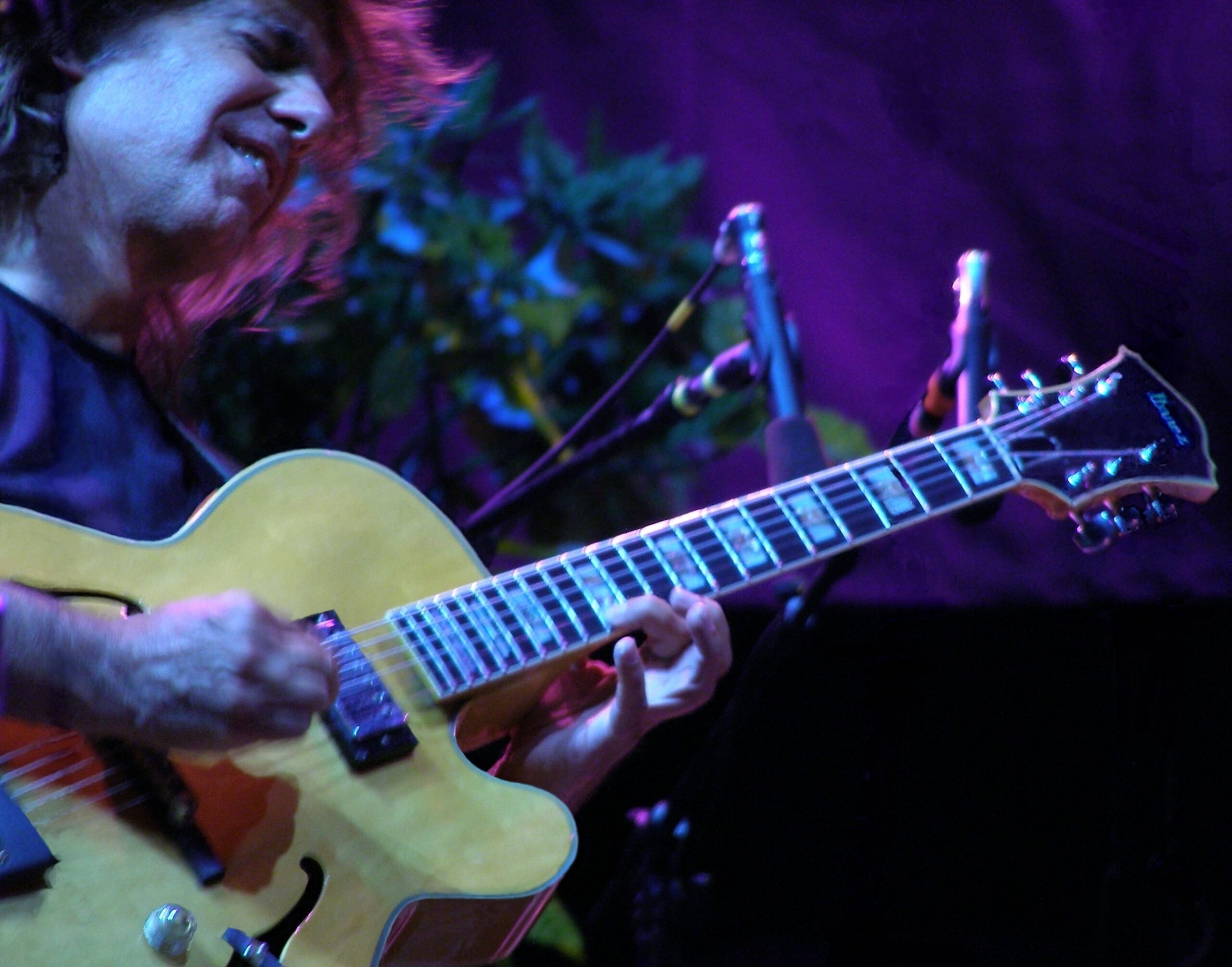 Pat Metheny Goldtop