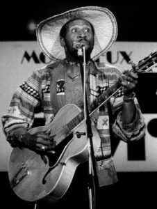 Taj Mahal: The Global Griot