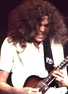 Allen Collins: The Southern Fury